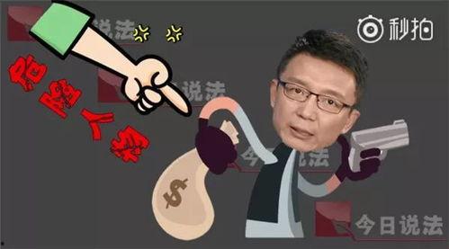 今日说法吃瓜,揭秘“今日说法”吃瓜群众背后的故事