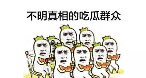 吃瓜围观