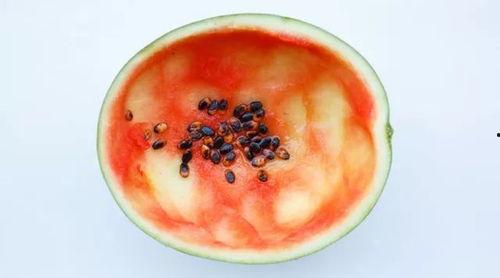 理性吃瓜真实还原,揭秘娱乐圈幕后真相