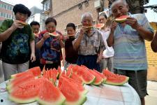 河北邯郸初中吃瓜,校园生活新风尚