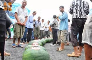 沧州吃瓜现场事件,一场网络热议背后的真相与反思