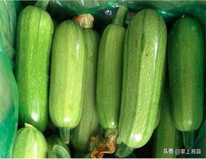 西葫芦角瓜怎么吃